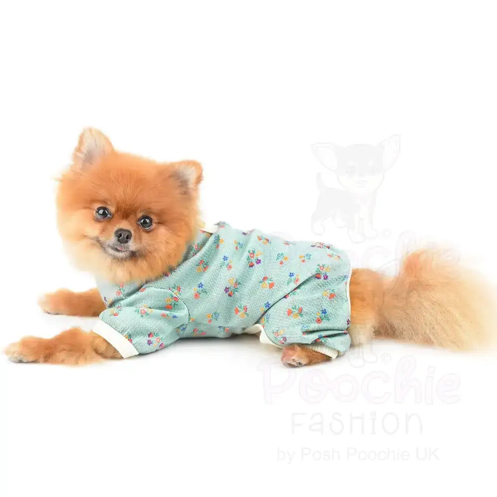 Pretty Floral Small Dog Pyjamas Blue - Posh Pawz - 4