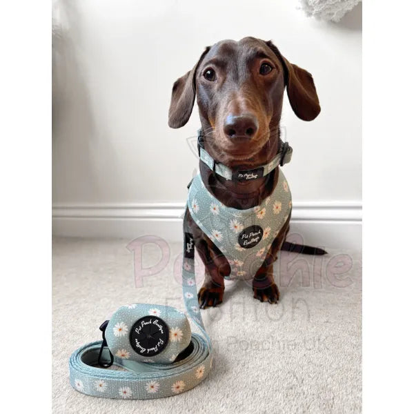 Pretty Little Daisies Dog Harness - Pet Pooch - 2