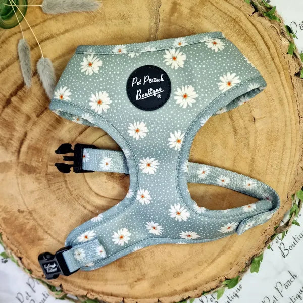 Pretty Little Daisies Dog Harness - Pet Pooch - 1