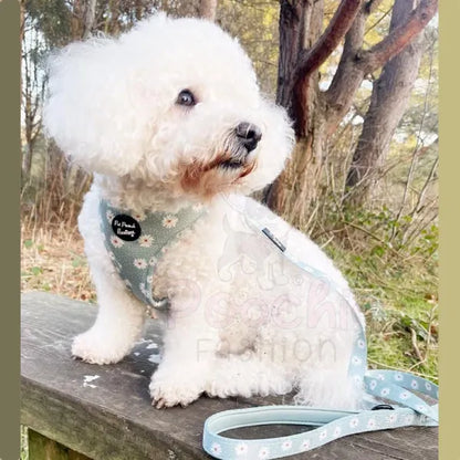 Pretty Little Daisies Dog Lead - Pet Pooch - 2