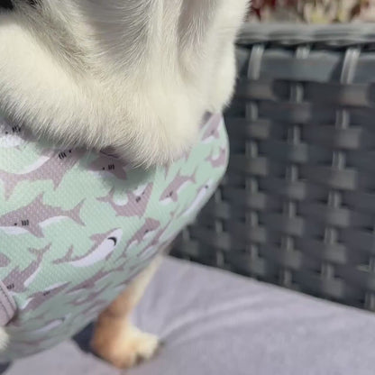 Ocean Predator Dog Cooling Vest