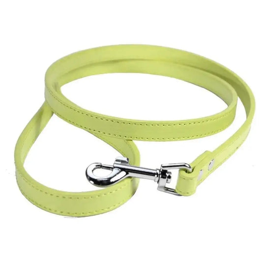 Primrose Plain Leather Dog Lead - Poochie Fashion - 1