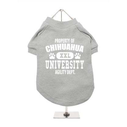 Property Of Chihuahua University Dog T - shirt Grey - Urban 3