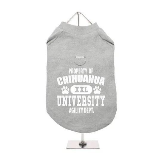 Property of Chihuahua University Harness Lined Dog T-shirt Grey - Urban - 1