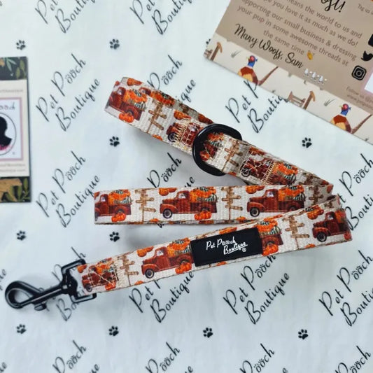 Pumpkin Harvest Dog Lead Pet Pooch 1