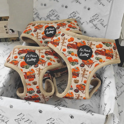Pumpkin Harvest Patch Dog Harness - Pet Pooch - 1