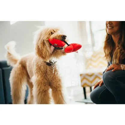 Puppy Love Fur-ever Hearts Valentines Dog Toy by P.l.a.y - P.l.a.y - 5