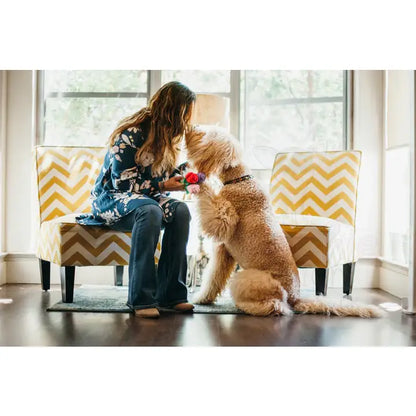 Puppy Love Rover’s Roses Valentines Dog Toy by P.l.a.y - P.l.a.y - 4