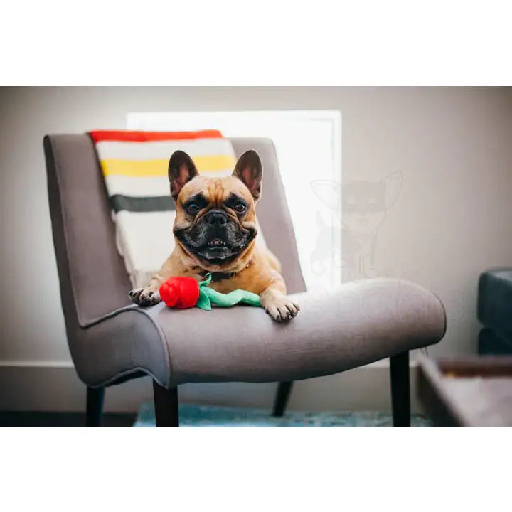 Puppy Love Rover’s Roses Valentines Dog Toy by P.l.a.y - P.l.a.y - 5