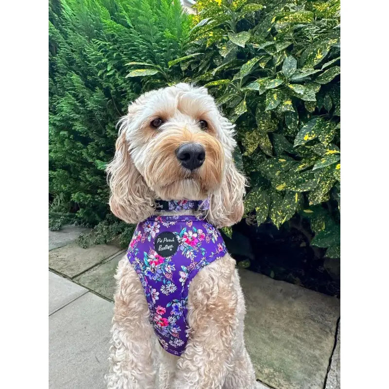 Purple Country Floral Dog Harness - Pet Pooch - 2