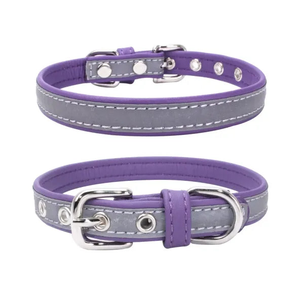 Purple Night Reflective Eco-leather Dog Collar - Posh Pawz - 1