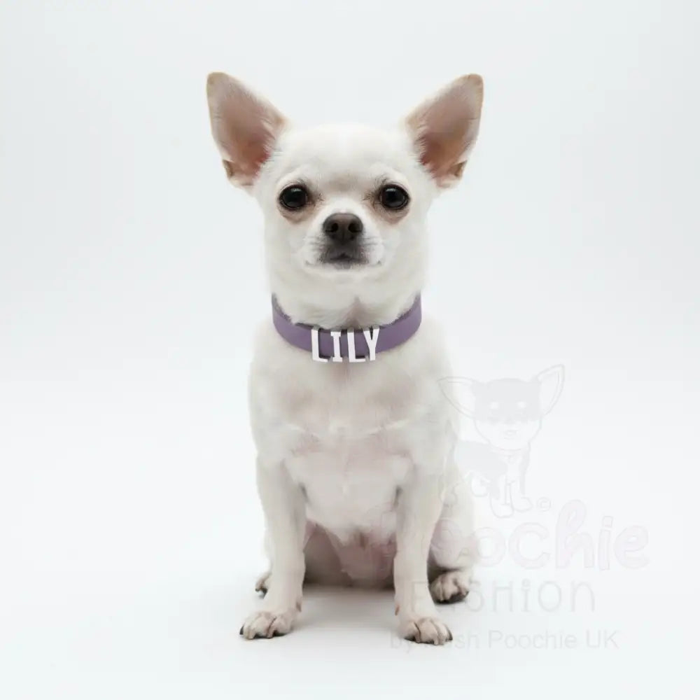 Purple Waterproof Personalised Dog Collar with Chrome Letters - Poochie Fashion - 2