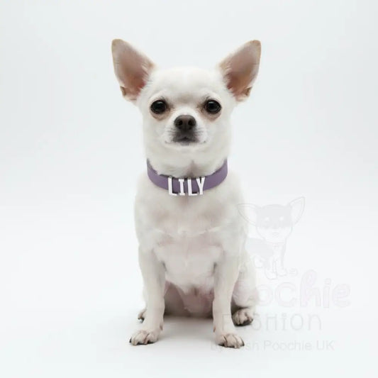 Purple Waterproof Personalised Dog Collar with Chrome Letters - Poochie Fashion - 2