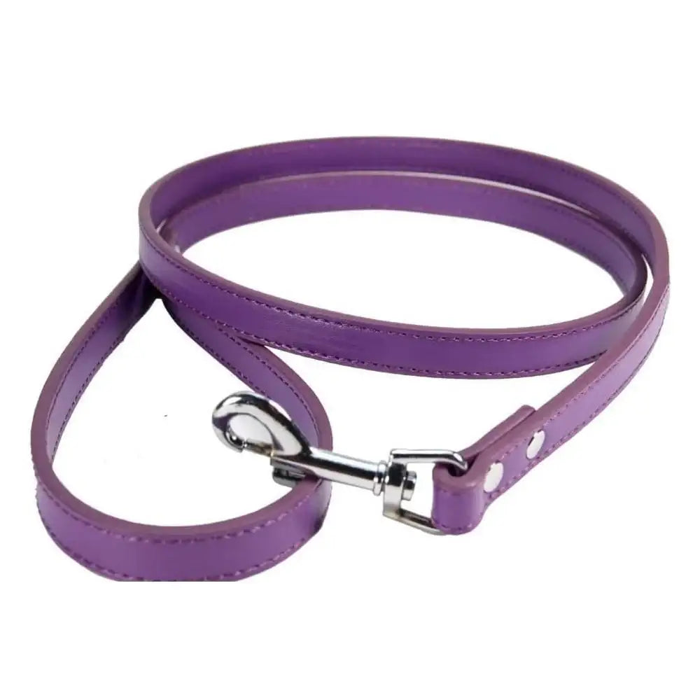Purple Plain Leather Dog Lead - Poochie Fashion - 1