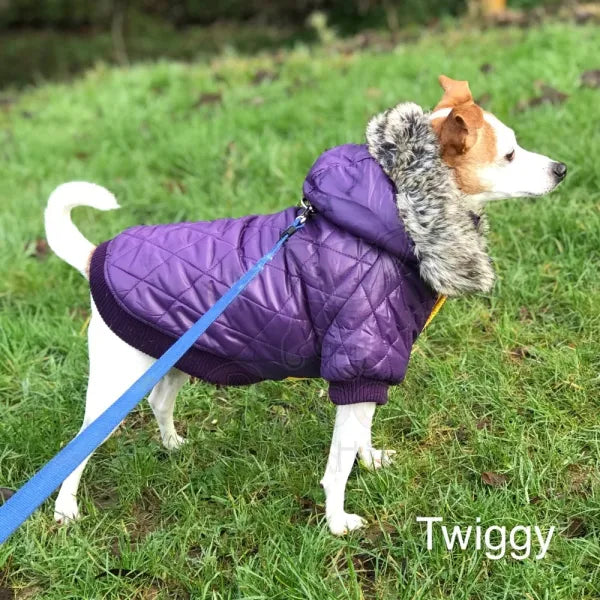 Purple Thermal Quilted Parka Dog Coat - Urban Pup - 2
