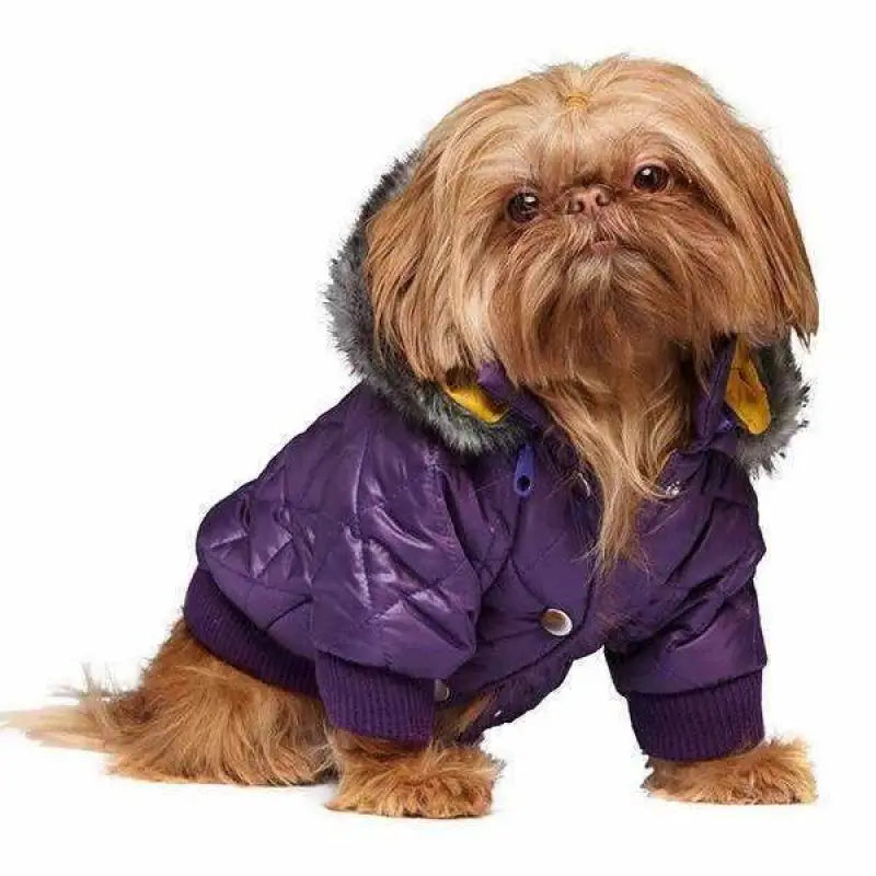 Urban Pup Purple Thermo Quilted Dog Parka Small - Sale - 1
