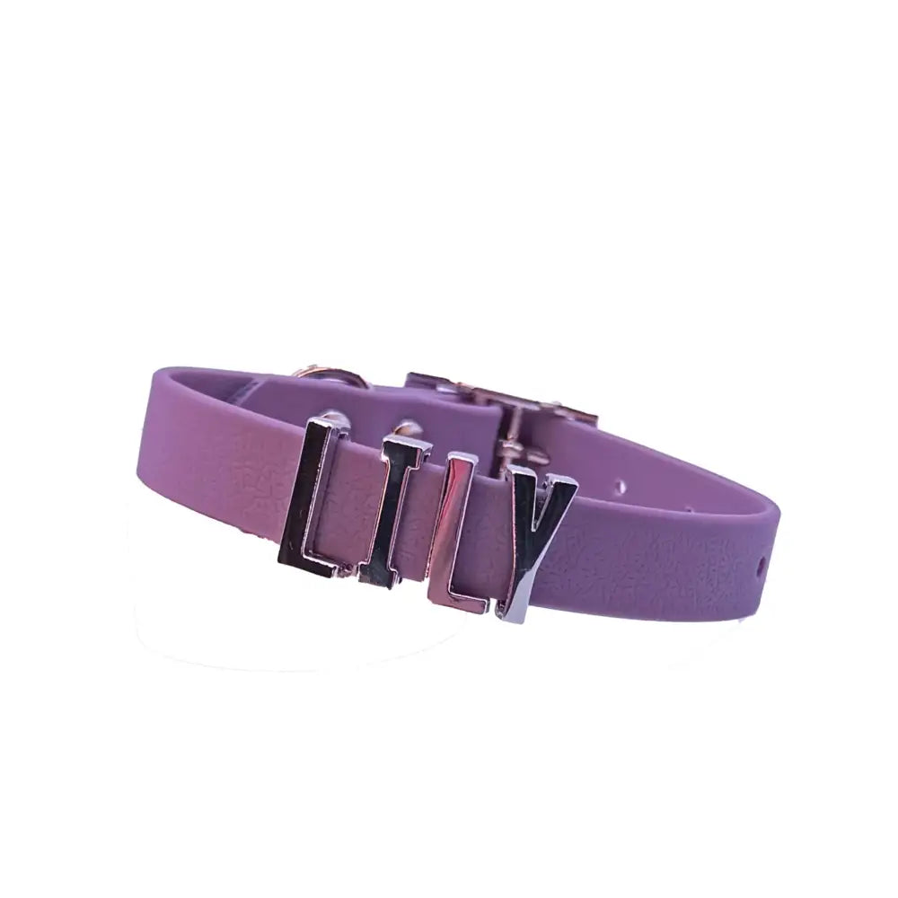 Purple Waterproof Personalised Dog Collar with Large Chrome Letters - Poochie Fashion - 1