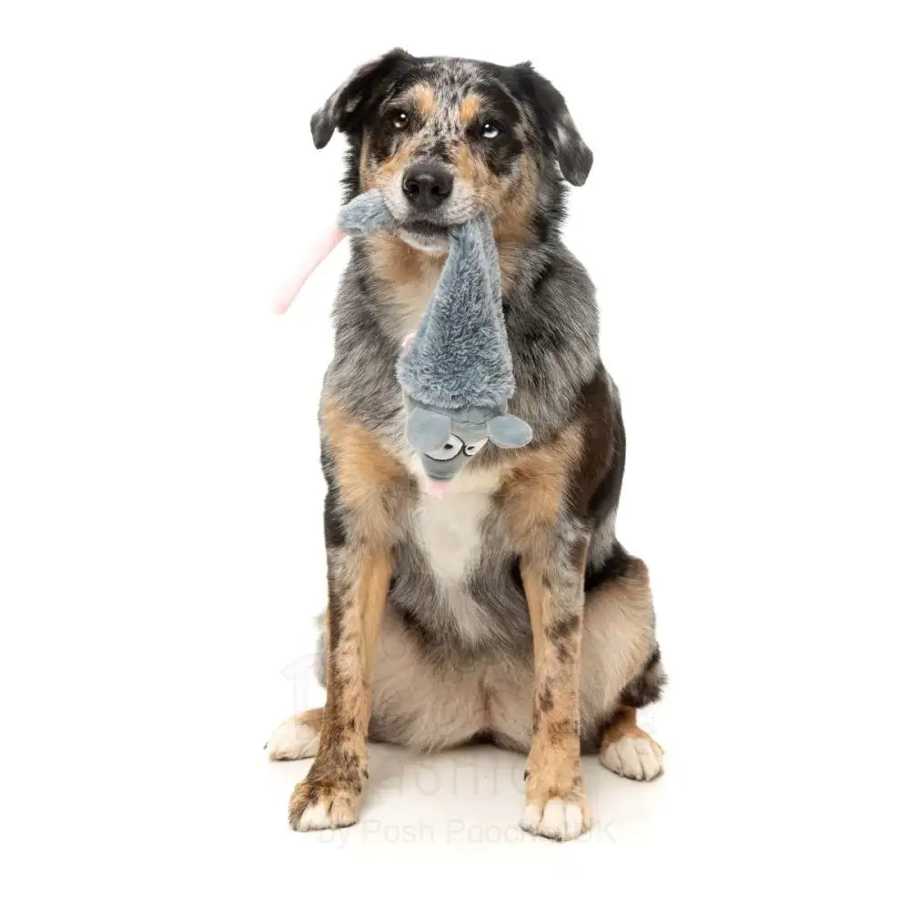 Rack off Rat - the Yeetz - Dog Toy by Fuzzyard - Fuzzyard - 4