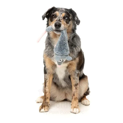 Rack off Rat - the Yeetz - Dog Toy by Fuzzyard - Fuzzyard - 4