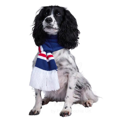 Rangers Football Team Dog Scarf - Sale - 7