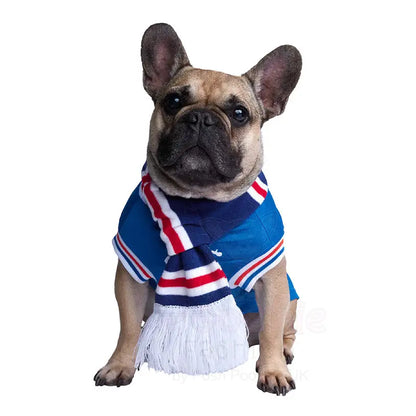Rangers Football Team Dog Scarf - Sale - 6