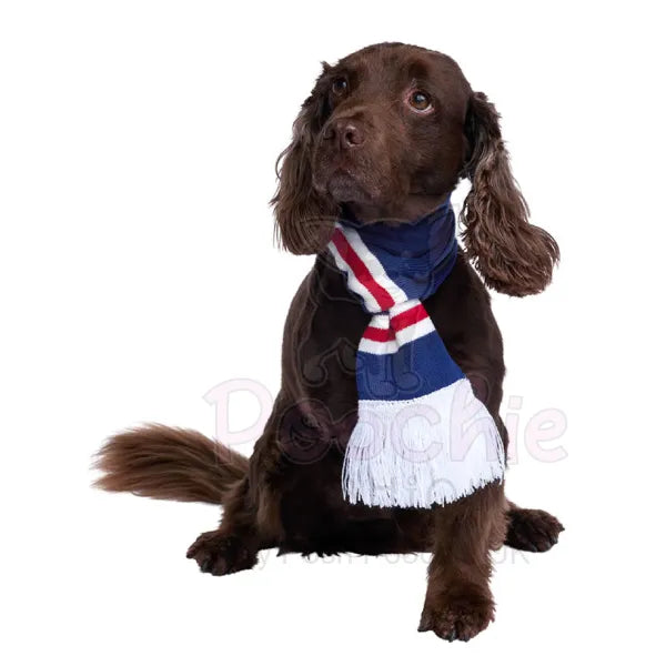 Rangers Football Team Dog Scarf - Urban - 8