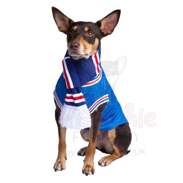 Rangers Football Team Dog Scarf - Urban - 3