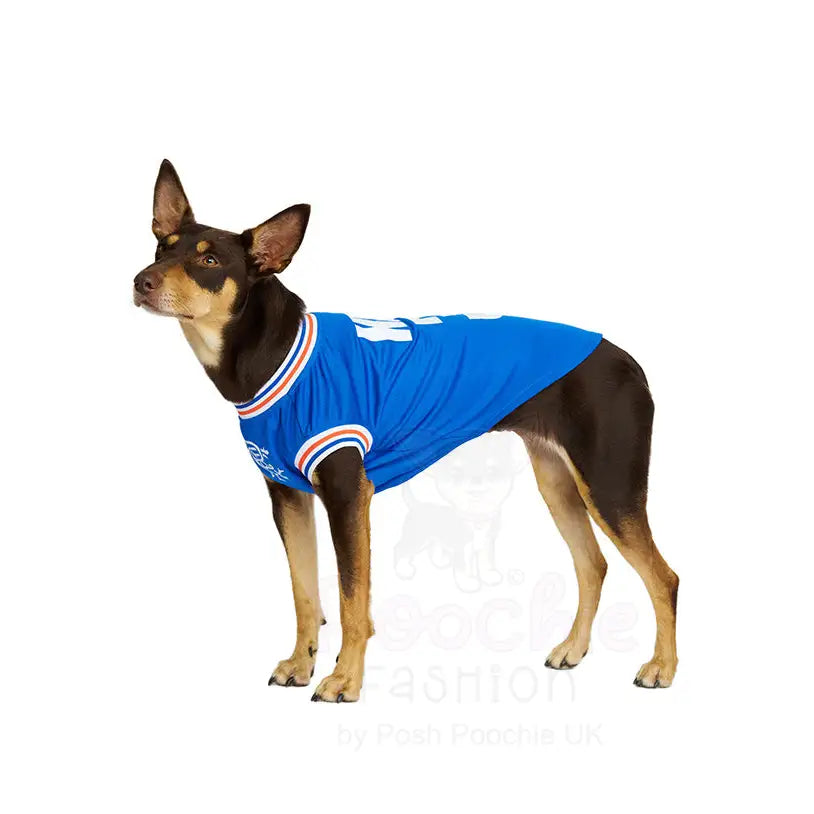 Rangers Football Team Personalised Dog T-shirt - Sale - 7