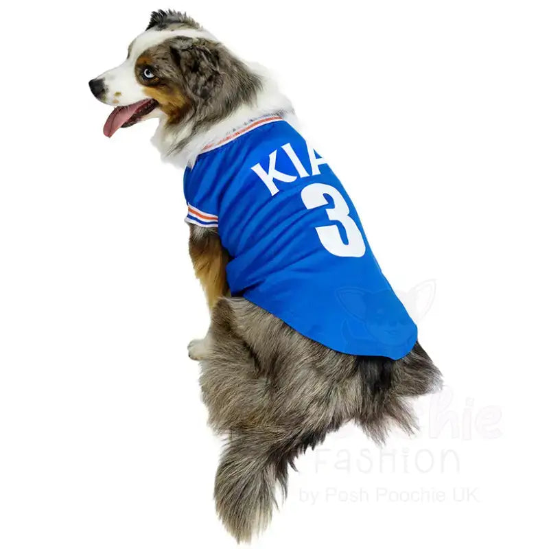 Rangers Football Team Personalised Dog T-shirt - Sale - 9