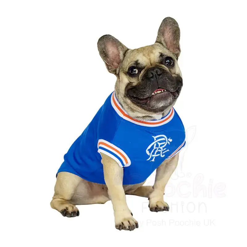 Rangers Football Team Personalised Dog T-shirt - Sale - 5