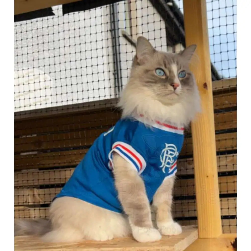 Rangers Football Team Personalised Dog T-shirt - Sale - 4