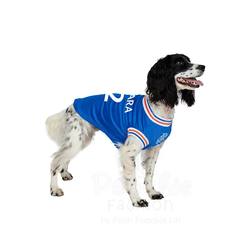 Rangers Football Team Personalised Dog T-shirt - Sale - 6