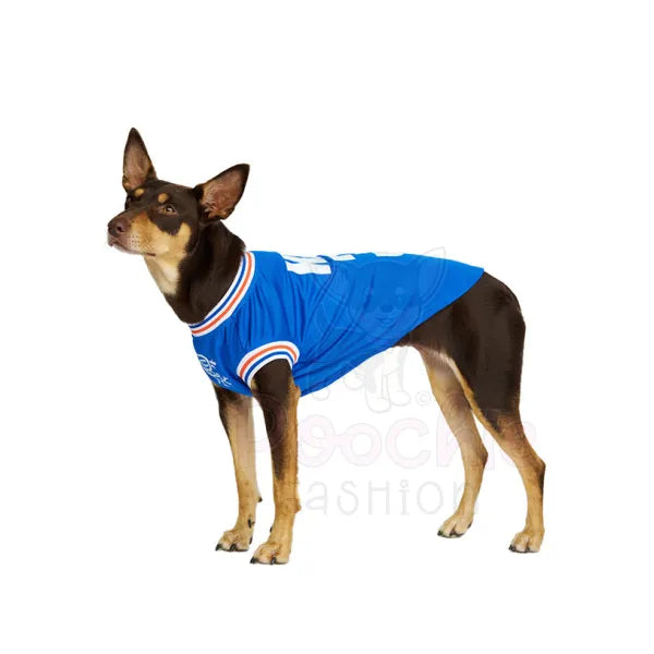 Rangers Football Team Personalised Dog T-shirt - Urban - 7