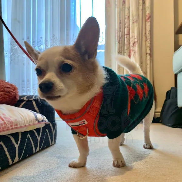 Red and Dark Green Argyle Dog Jumper - Urban Pup - 4