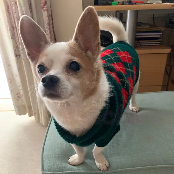 Red and Dark Green Argyle Dog Jumper - Urban Pup - 2
