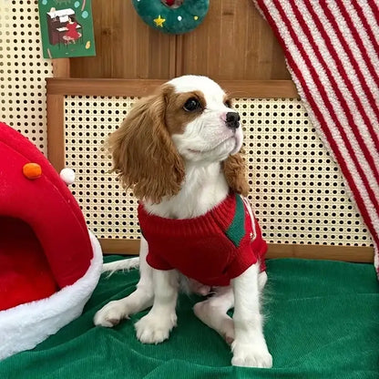 Red Festive Cherry Bear Dog Jumper - Posh Pawz - 4