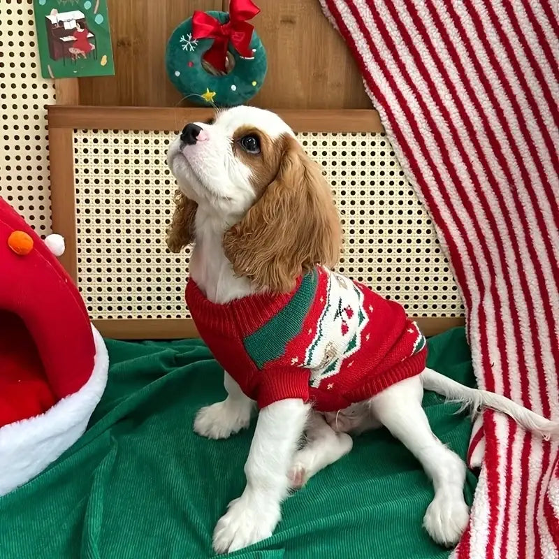 Red Festive Cherry Bear Dog Jumper - Posh Pawz - 6