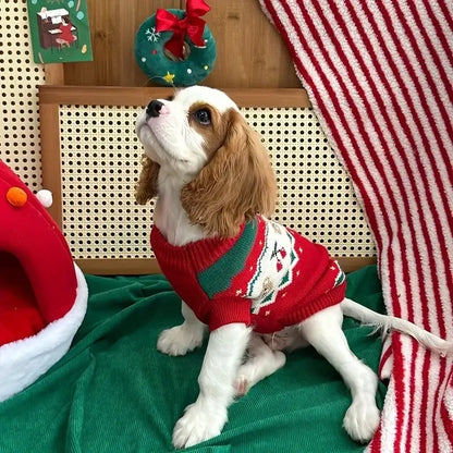 Red Festive Cherry Bear Dog Jumper - Posh Pawz - 6