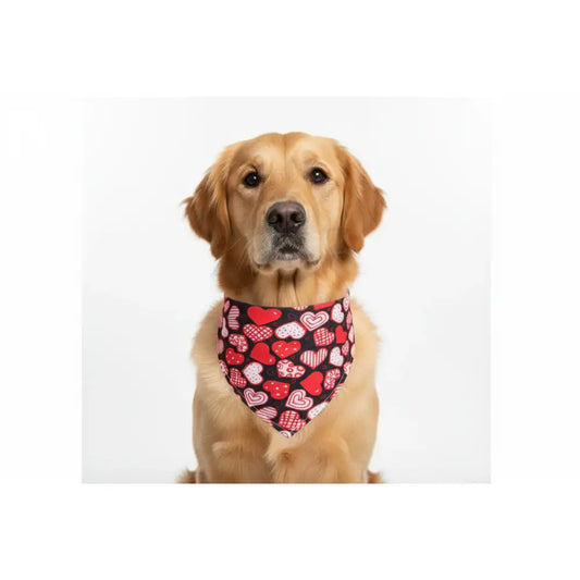 Red Hearts Valentines Tie on Dog Bandana - Posh Pawz - 1