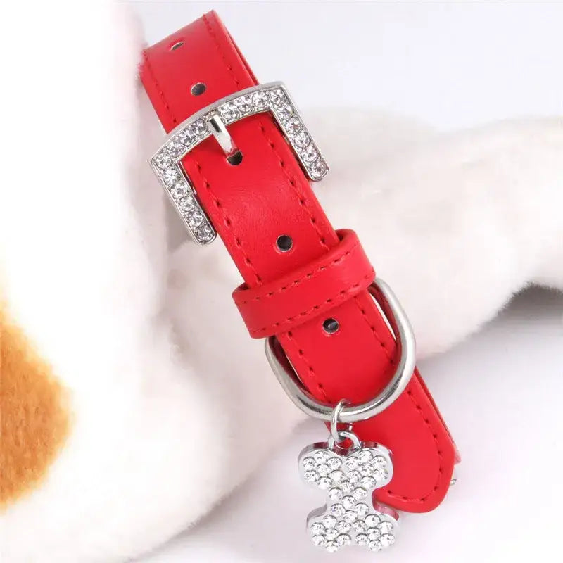 Red Leather Diamante Bones Dog Collar with Charm - Poochie Fashion - 3