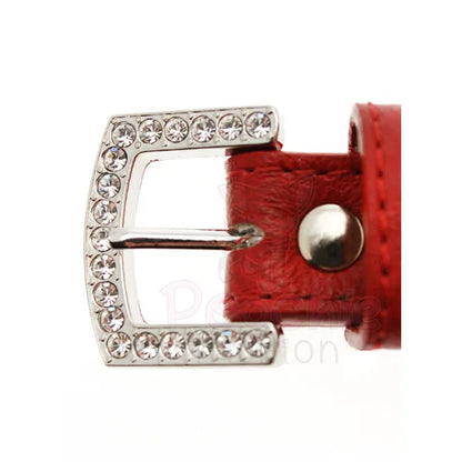 Red Leather Diamante Bones Dog Collar with Charm - Urban Pup - 4