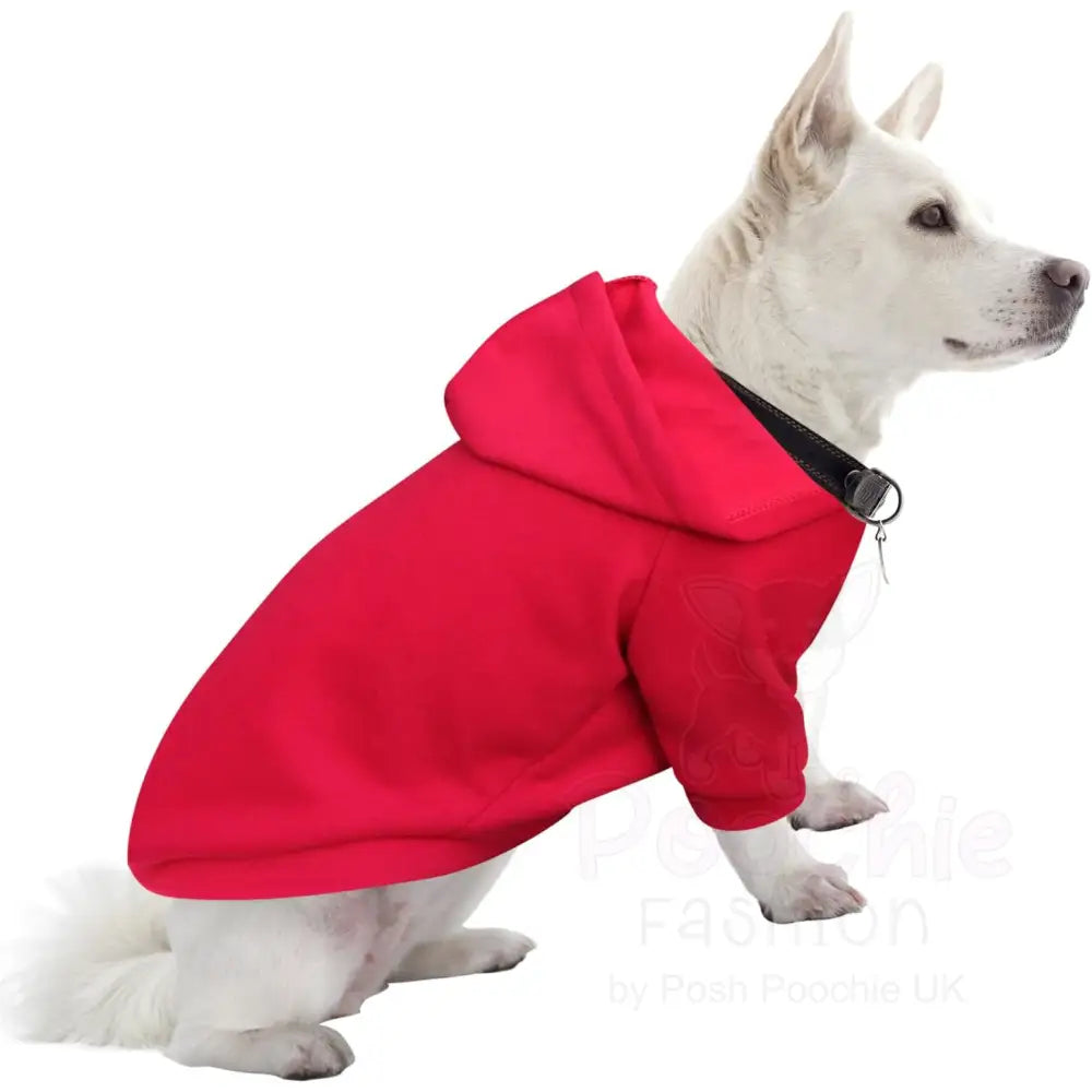 Red Christmas Naughty List Fleece Dog Hoodie - Poochie Fashion - 3