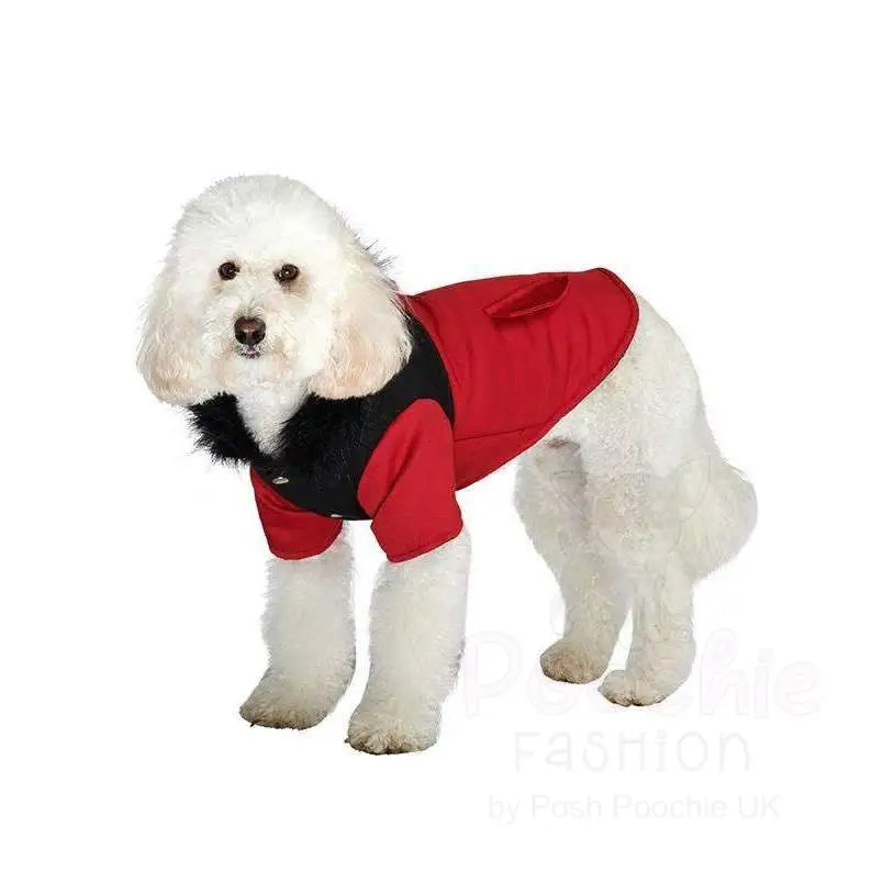 Red on Black Two Tone Designer Parka Dog Coat - Urban - 2