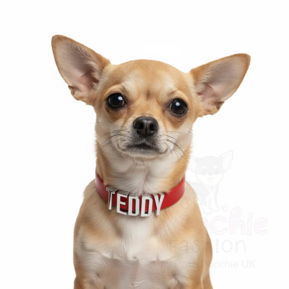 Red Waterproof Personalised Dog Collar with Chrome Letters - Poochie Fashion - 2