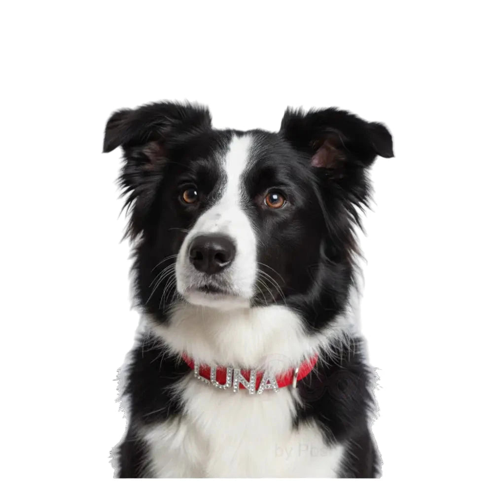 Red Waterproof Personalised Dog Collar with Diamante Letters - Poochie Fashion - 3