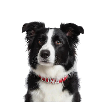 Red Waterproof Personalised Dog Collar with Diamante Letters - Poochie Fashion - 3