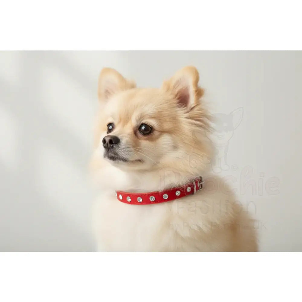 Red Plush Velvet Diamante Dog Collar - Sale - 2