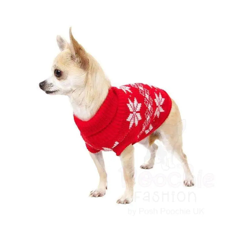 Chihuahua xmas shop jumper