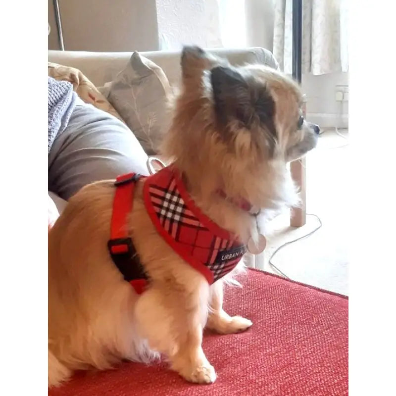 Red Tartan Dog Harness - Urban Pup 5