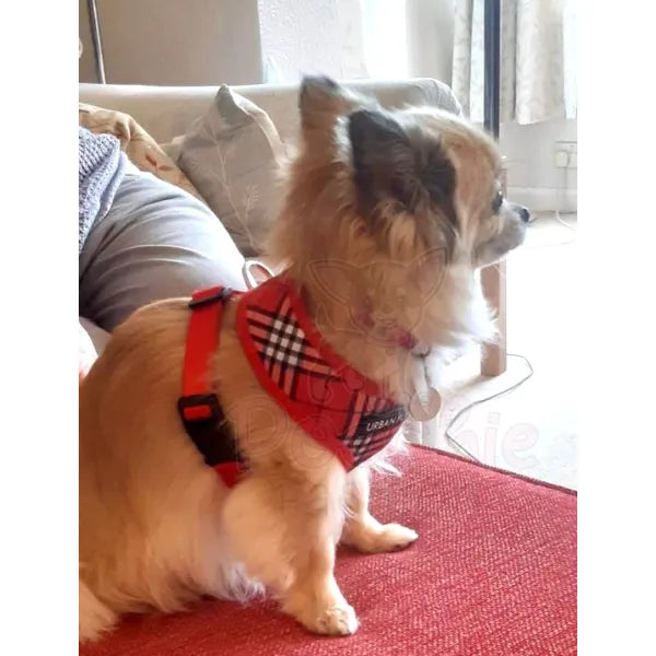 Red Tartan Dog Harness - Urban Pup 5